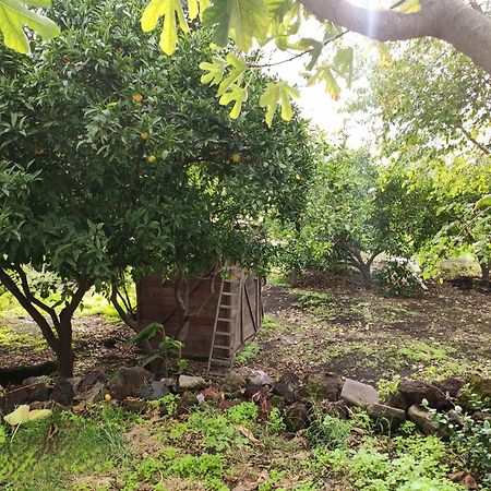 La Casa Di Nonna Ida Apartment Stromboli Exterior foto
