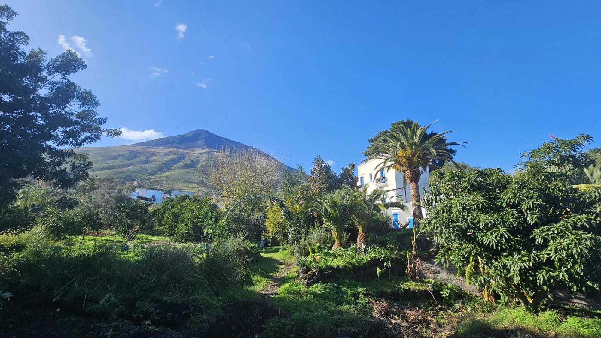 La Casa Di Nonna Ida Apartment Stromboli Exterior foto
