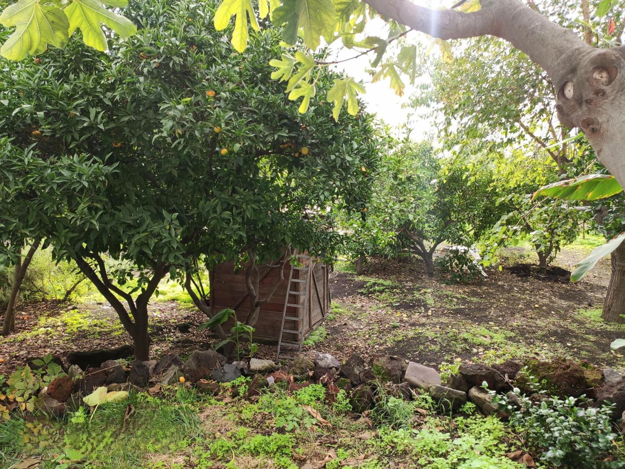 La Casa Di Nonna Ida Apartment Stromboli Exterior foto